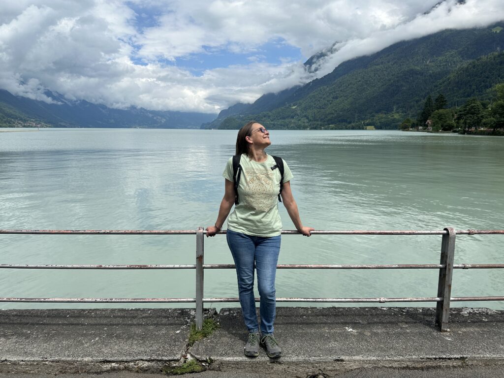 Brienzersee im Hintergrund